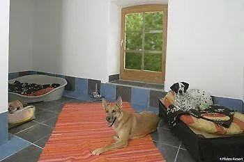 4 Pfoten Bad Birnbach
